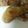 kinkinsan's cooksnap of when they made 圧力鍋で＊フライドチキン.
