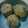 ひろ∞ひろ's cooksnap of when they made じゃがいものそぼろ煮.