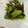 solapapa's cooksnap of when they made すっぱ旨い♡アスパラとわかめの梅和え.