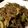 YCRUDO's cooksnap of when they made 万能肉味噌deマーボーナス.