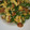 クックYSJPJD☆'s cooksnap of when they made 【お弁当】ウインナーとピーマンの卵炒め.