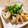 miyuki12's cooksnap of when they made ちくわのたらこマヨ炒め.