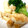 クックBH5M9F☆'s cooksnap of when they made やわらか鶏胸肉と竹の子の中華炒め.