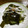 kokemomo60's cooksnap of when they made きゅうりとわかめの酢の物.