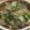 らんち☆'s cooksnap of when they made 白菜と豚肉と竹輪のあんかけ.