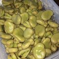 あっきーかあさん☆'s cooksnap of when they made おつまみ✿そらまめ.
