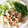 ナイト2014's cooksnap of when they made 料理長のエビとアボカドのサラダ.