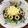 早起きまま's cooksnap of when they made 水菜とちくわのカラシマヨあえ.