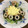 早起きまま's cooksnap of when they made 水菜とちくわのカラシマヨあえ.