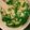 10001回目's cooksnap of when they made とろとろ♡ほっこり！オクラ中華スープ.
