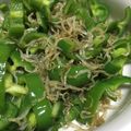 amileamila's cooksnap of when they made じゃこピーマン炒め.