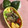 すぎすぎばぁ's cooksnap of when they made 塩さばの磯辺揚げ.