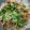 くゆりママ's cooksnap of when they made 簡単ランチ！えのきのそぼろ丼.