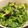 クックLRUNG3☆'s cooksnap of when they made やみつきセリサラダ.