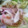 クックA43M15☆'s cooksnap of when they made かまぼこ紫たまねぎの和風サラダ.