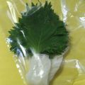SoMiNemama's cooksnap of when they made 大葉(しそ)の保存方法☆.