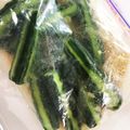 ★みーちゃんママ★'s cooksnap of when they made きゅうりの辛子漬け.