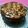 ひぃたんのパパ's cooksnap of when they made チョコレートケーキ.
