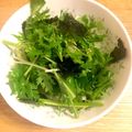 ぴよちゃん2424's cooksnap of when they made ☆韓国海苔で*やみつきパクチーサラダ☆.