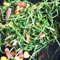 MG☆'s cooksnap of when they made 豆苗とベーコン炒め.