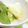みっくママ's cooksnap of when they made 一人用アボカドの食べ方その３.