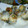 PE042000's cooksnap of when they made ☆簡単☆　さんまの柚子胡椒ロール.