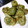 ふれでりっく。's cooksnap of when they made ほんだしで！そら豆の青のり天ぷら.
