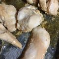 ビスビスビスケ's cooksnap of when they made お弁当に！鶏肉の味噌漬け♪.