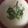 ＊なみへい＊'s cooksnap of when they made ごぼう茶の後はごぼうポタージュ☆.