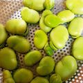 ご飯係長's cooksnap of when they made 空豆の冷凍保存～生で冷凍する方法～.