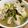 ぽんずー's cooksnap of when they made カブと豚肉の炒め煮.