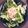 クックRJG0L2☆'s cooksnap of when they made 新たまねぎと鮭フレークのパスタ.