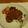 ﾏｲ☆ﾏｲ's cooksnap of when they made 簡単☆夏野菜カレー.
