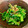 bunnychoco's cooksnap of when they made めっさ簡単　からし菜お浸し(ふりかけ).