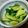 ami-rarara's cooksnap of when they made 中華なきゅうりのお漬け物♡.