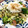 YUKIKI☆'s cooksnap of when they made あっさり野菜炒め☆大量大根おろし乗せ！.