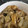 スカーレットの末裔's cooksnap of when they made 新ごぼうの卵とじ丼・保育園給食.