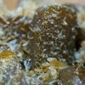 めかにか's cooksnap of when they made 簡単！こんにゃくのおかか煮☆〃.