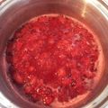 myumu's cooksnap of when they made 甘い香り♪簡単☆つぶつぶ苺ジャム離乳食も.