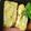 クック0IZEFS☆'s cooksnap of when they made チーズの入った卵焼き お弁当にオススメ！.