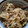 Mtut's cooksnap of when they made しらたきたっぷり卵とじ牛丼.