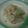 ティ子's cooksnap of when they made 新玉ねぎとシーチキンのサラダ.