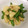 ＊さっと＊'s cooksnap of when they made ながいもとスナップえんどうの簡単炒め.