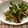 メイジももんじゃ's cooksnap of when they made ☆なすとしめじぴーまん炒め☆.