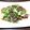 ゆめこんまん's cooksnap of when they made 春キャベツと牛肉の和風バター炒め.