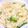 nosso's cooksnap of when they made 残り野菜のミルクリゾット.