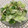 おるがた's cooksnap of when they made ササミと胡瓜とパクチーのタイ風サラダ.