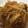 ayupome's cooksnap of when they made 簡単！もやしときのこの韓国風炒め.