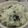 ぷるみき's cooksnap of when they made 給食で人気の☆わかめご飯.