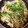 クックHRXIWV☆'s cooksnap of when they made 節約レシピ♬豆苗ともやしと竹輪の炒め物.